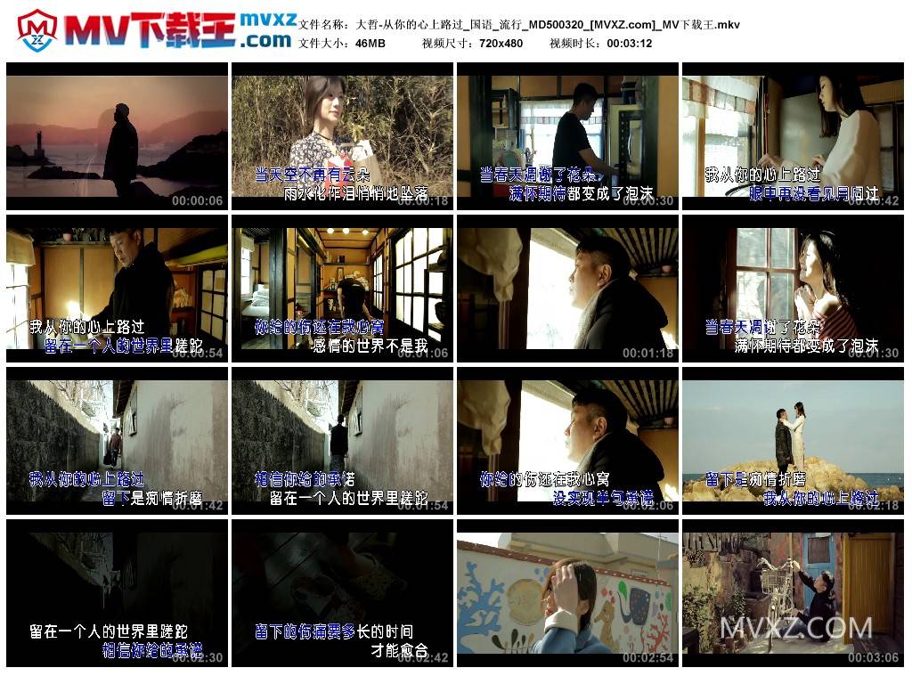 大哲-从你的心上路过_国语_流行_MD500320